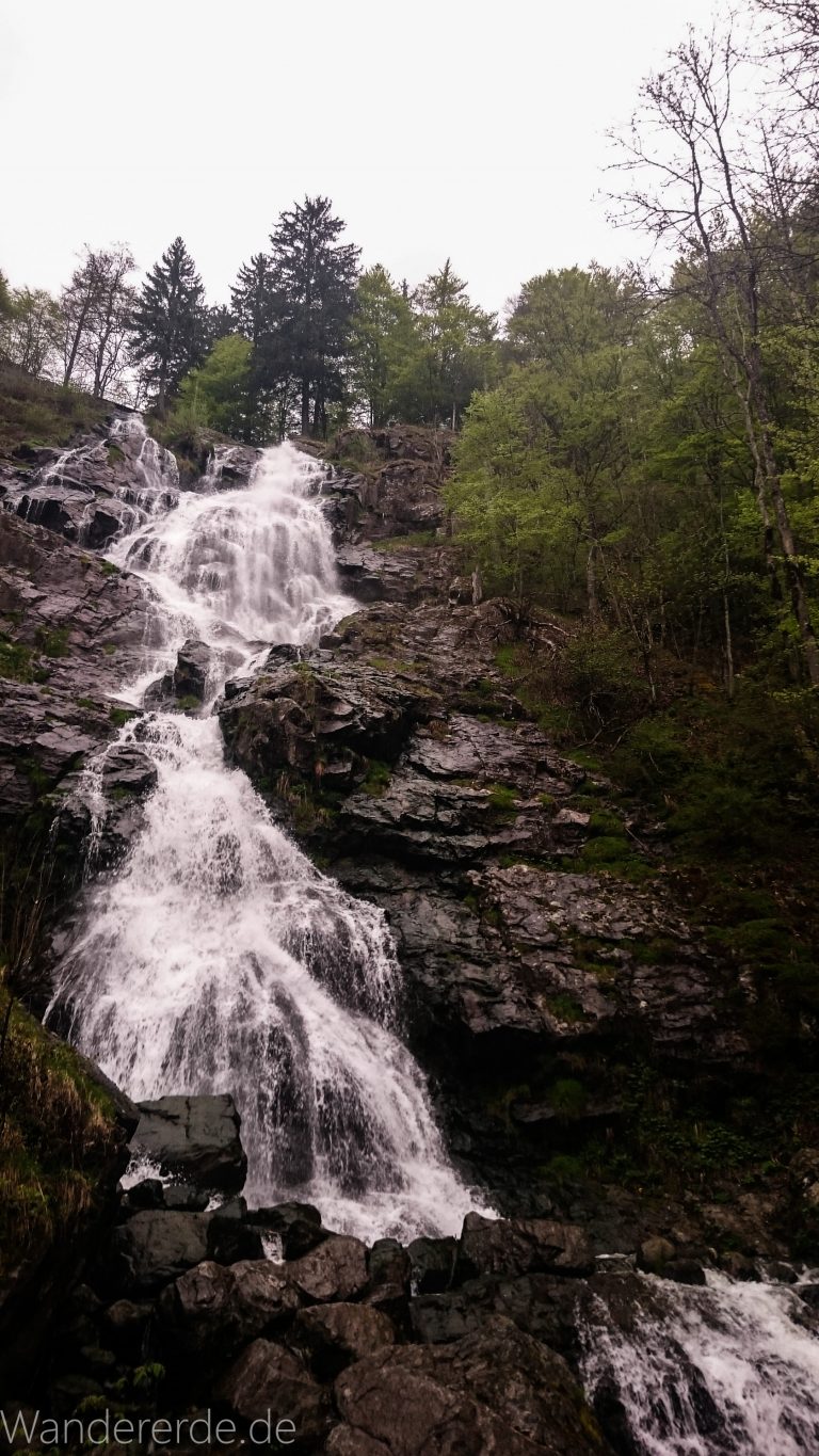 Todtnauer Wasserfall, steinige Felsen, Wald, rauschendes Wasser