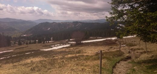 Feldbergsteig, Feldberg höchster Berg im Schwarzwald, weite schöne Aussicht, trist und Schnee im Frühjahr, schmaler teils demolierter Pfad, Wolken
