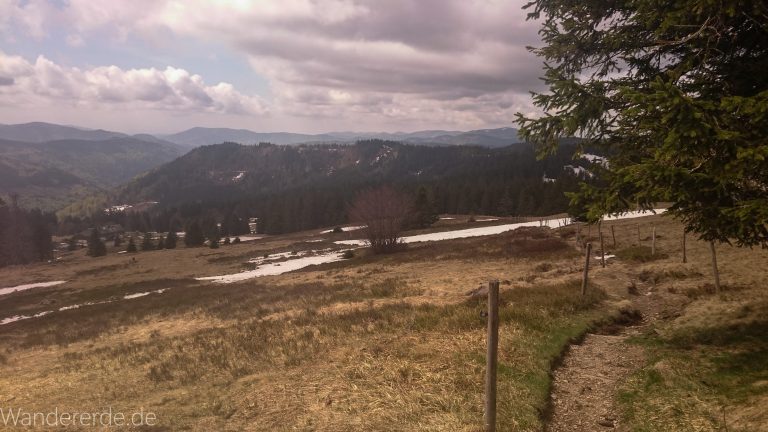 Feldbergsteig, Feldberg höchster Berg im Schwarzwald, weite schöne Aussicht, trist und Schnee im Frühjahr, schmaler teils demolierter Pfad, Wolken
