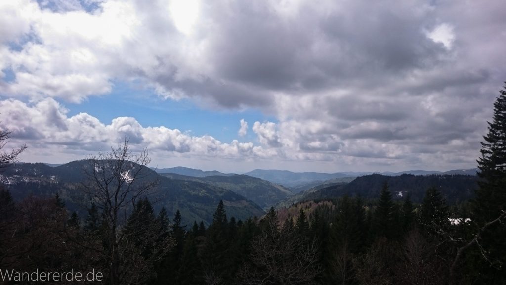 Feldberg höchster Berg im Schwarzwald schöne Aussicht Wald Berge in der Ferne
