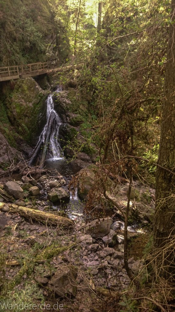 Lotenbachklamm bei der Schattenmühle, in der Klamm umgestürzter Baum, Wasser, Wasserfall, riesige Steine