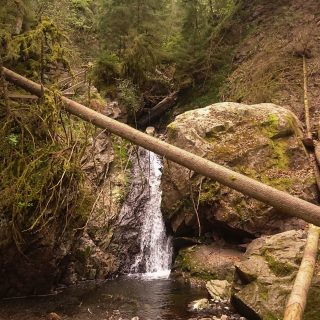 Lotenbachklamm bei der Schattenmühle, in der Klamm umgestürzter Baum, Wasser, Wasserfall, riesige Steine