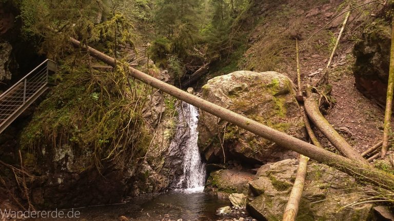 Lotenbachklamm bei der Schattenmühle, in der Klamm umgestürzter Baum, Wasser, Wasserfall, riesige Steine