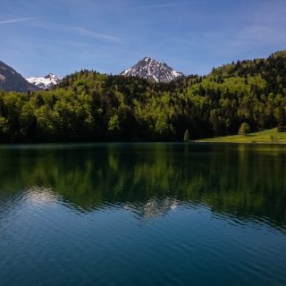Alatsee am Ufer, blauer Himmel, strahlend klares  sauberes Wasser, Berge in der Ferne mit schneebedeckte Gipfel, saftig grüner Wald, Sonne scheint warmer Frühlingstag