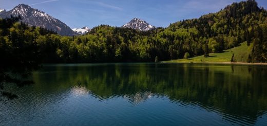 Alatsee am Ufer, blauer Himmel, strahlend klares  sauberes Wasser, Berge in der Ferne mit schneebedeckte Gipfel, saftig grüner Wald, Sonne scheint warmer Frühlingstag