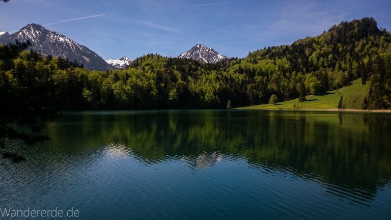Alatsee am Ufer, blauer Himmel, strahlend klares  sauberes Wasser, Berge in der Ferne mit schneebedeckte Gipfel, saftig grüner Wald, Sonne scheint warmer Frühlingstag