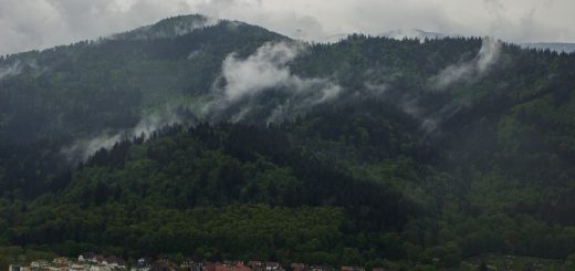 Aussicht in Stadt Freiburg vom Schlossberg, Häuser, Wald, Wolken, Schwarzwald
