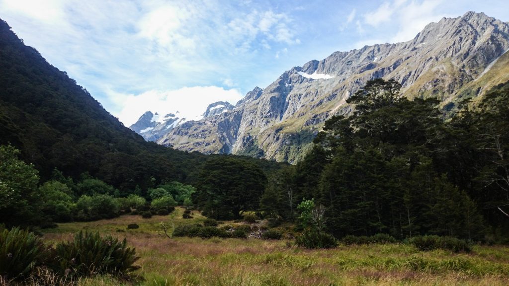 Wanderung Routeburn Track - Great Walk im Fiordland Nationalpark Südinsel Neuseeland, zauberhaftes Routeburn Tal Valley, Wanderweg Routeburn im Fiordland Nationalpark, beeindruckende Berge mit Gipfeln über der Baumgrenze, herrlicher Sommertag auf Südinsel Neuseelands, traumhafte Wanderung, wunderschön, beeindruckend, in der Ferne schneebedeckte Gipfel