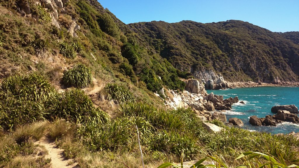 Wanderung Abel Tasman Coast Track Great Walk Südinsel Neuseeland, Wanderweg entlang traumhafter Küste im Abel Tasman Nationalpark, in der Ferne Aussicht auf traumhafte, sichelförmige Bucht mit blaugrünem klarem frischem Wasser und dichtem grünem Wald, Sonnenschein, Palmen und Farne, goldener Sandstrand