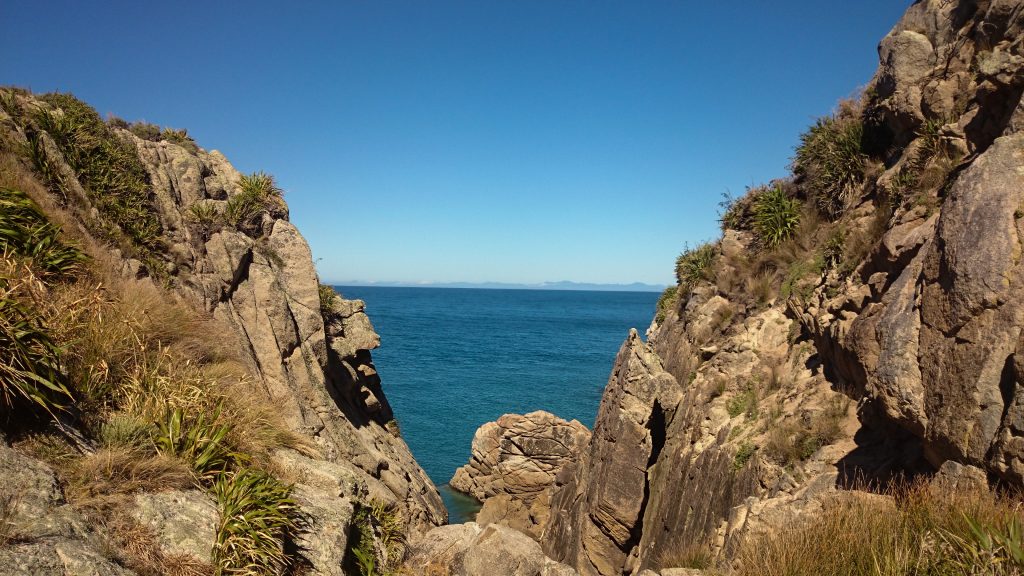 Wanderung Abel Tasman Coast Track Great Walk Südinsel Neuseeland,Wanderweg entlang traumhafter Küste im Abel Tasman Nationalpark, in der Nähe traumhafte, sichelförmige Buchten mit blaugrünem klarem frischem Wasser und dichtem grünem Wald, Sonnenschein, Palmen und Farne, goldener Sandstrand