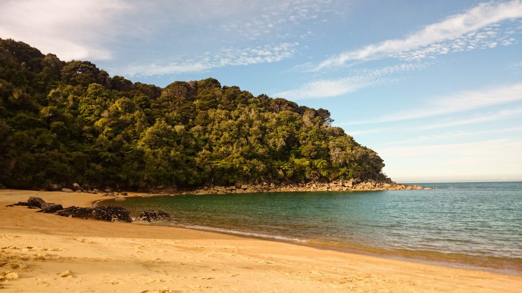 Wanderung Abel Tasman Coast Track Great Walk Südinsel Neuseeland, Aussicht auf traumhafte, sichelförmige Bucht mit blaugrünem klarem frischem Wasser und dichtem grünem Wald, Sonnenschein, Palmen und Farne, goldener Sandstrand