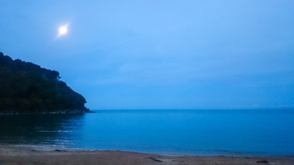 Wanderung Abel Tasman Coast Track Great Walk Südinsel Neuseeland, Aussicht auf traumhafte, sichelförmige Bucht mit blaugrünem klarem frischem Wasser und dichtem grünem Wald, Sonnenschein, Palmen und Farne, goldener Sandstrand, wunderschönes Licht zur Dämmerung