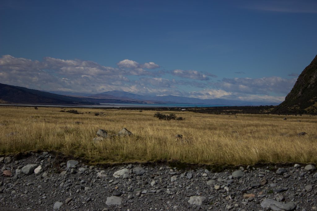 Wanderungen im Mount Cook Nationalpark, Aoraki, Südinsel Neuseeland, Wanderung im Mount Cook Nationalpark, steiniger Schotter, raue, lebensfeindliche und doch wunderschöne Umgebung, in der Ferne See und Berge, Wiese in rauer Landschaft