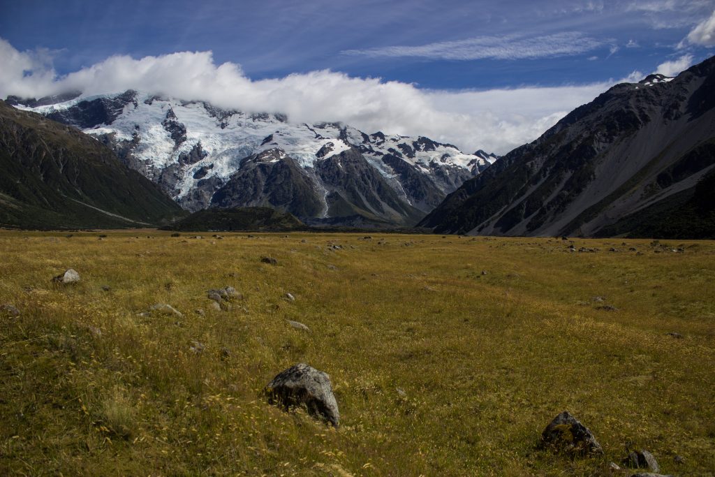 Wanderungen im Mount Cook Nationalpark, Aoraki, Südinsel Neuseeland, Wanderung im Mount Cook Nationalpark, schneebedeckte Berge, raue, lebensfeindliche und doch wunderschöne Umgebung, Wiese in rauer Landschaft