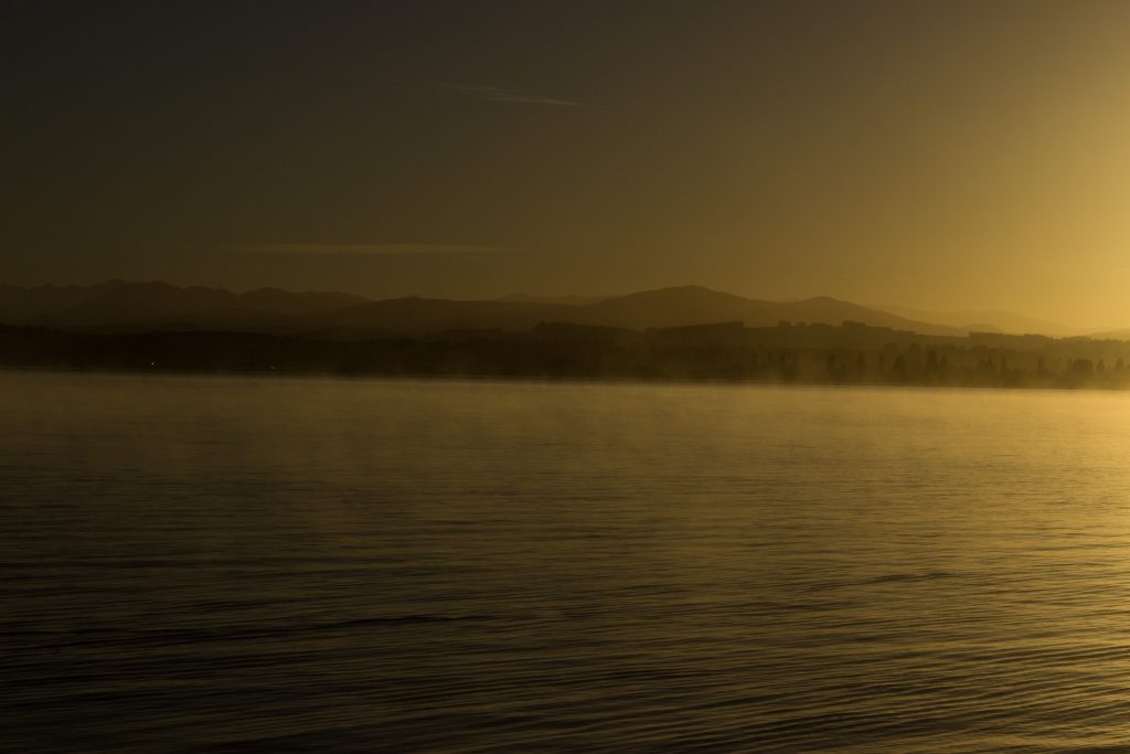 Wanderung Kepler Track - Great Walk, Wanderweg bei Bucht Brod Bay Campingplatz am schönen See Te Anau, herrliche Aussicht auf schönen See und Wald am anderen Ufer, dunkelblauer See, herrlicher Sommertag in Neuseeland Südinsel, Fiordland National Park, Wandertag beim Kepler Track