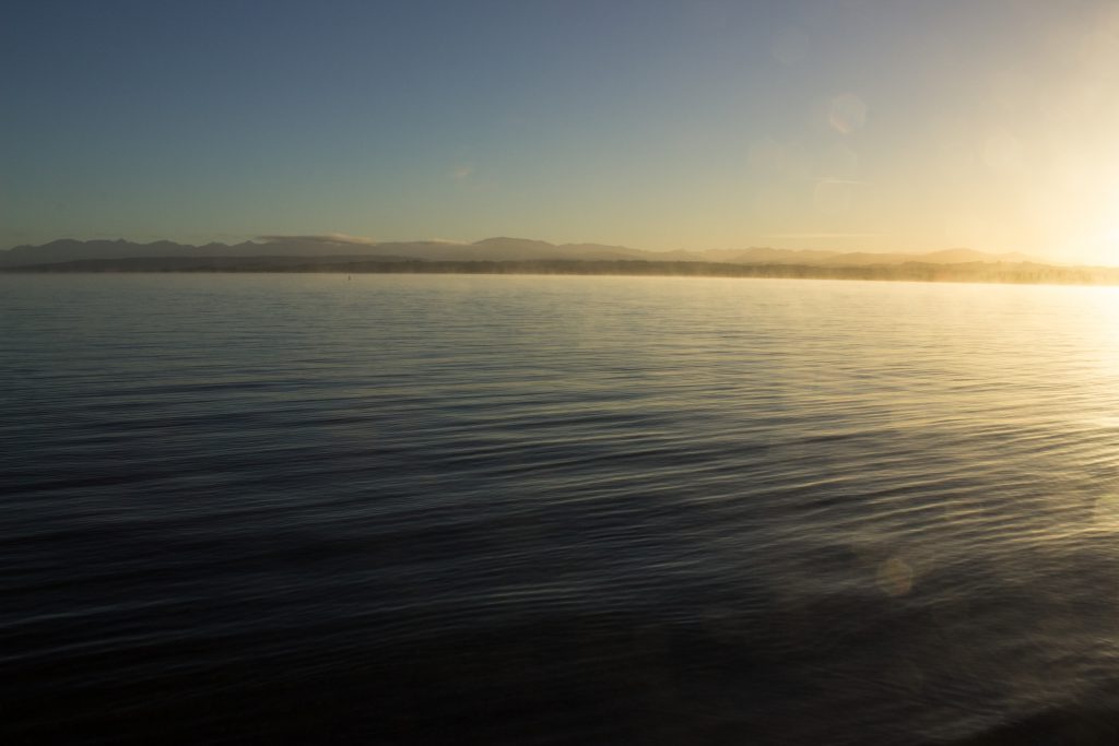 Wanderung Kepler Track - Great Walk, Wanderweg bei Bucht Brod Bay Campingplatz am schönen See Te Anau, herrliche Aussicht auf schönen See und Wald am anderen Ufer, dunkelblauer See, herrlicher Sommertag in Neuseeland Südinsel, Fiordland National Park, Wandertag beim Kepler Track