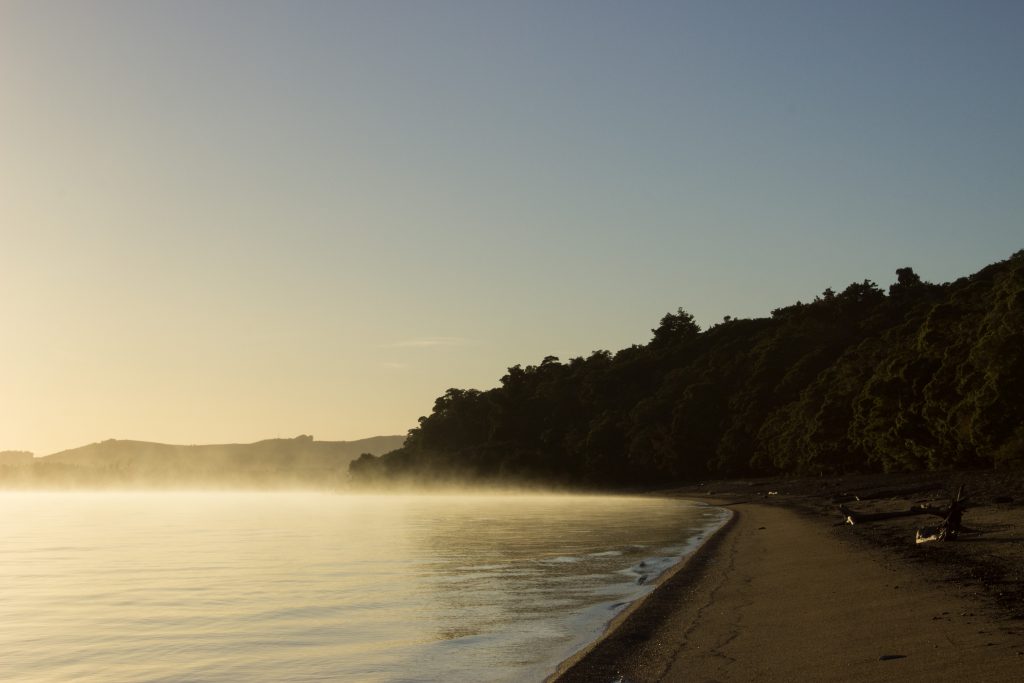 Wanderung Kepler Track - Great Walk, Wanderweg bei Bucht Brod Bay Campingplatz am schönen See Te Anau, herrliche Aussicht auf schönen See und Wald am anderen Ufer, dunkelblauer See, herrlicher Sommertag in Neuseeland Südinsel, Fiordland National Park, Wandertag beim Kepler Track
