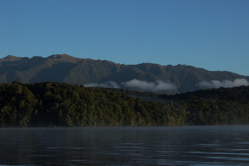 Wanderung Kepler Track - Great Walk, Wanderweg bei Bucht Brod Bay Campingplatz am schönen See Te Anau, herrliche Aussicht auf schönen See und Wald am anderen Ufer, dunkelblauer See, herrlicher Sommertag in Neuseeland Südinsel, Fiordland National Park, Wandertag beim Kepler Track