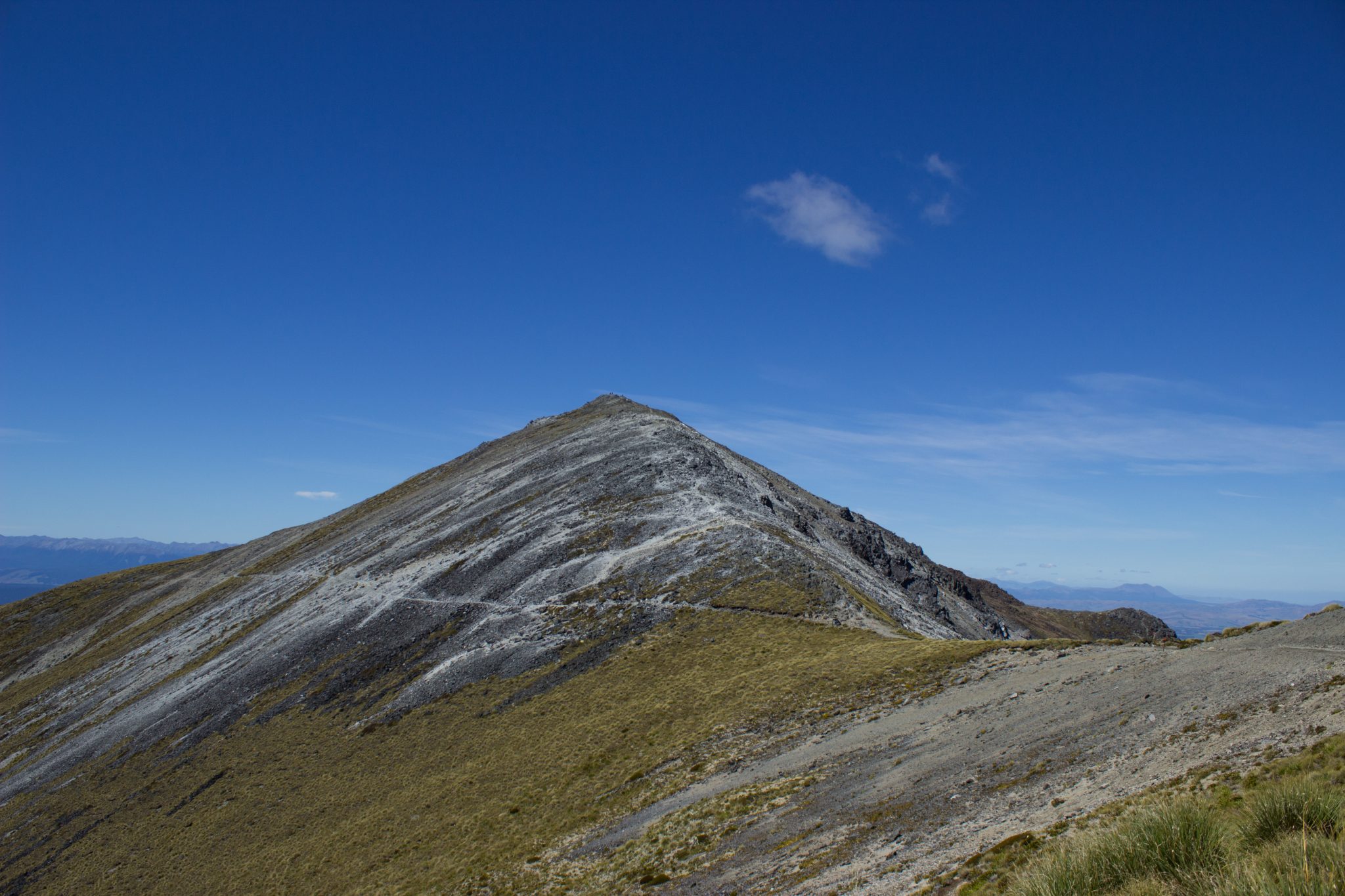 Wanderung Kepler Track - Great Walk, Wanderweg entlang Bergkamm im rauen Gelände, alpin oberhalb Baumgrenze, herrliche Aussicht