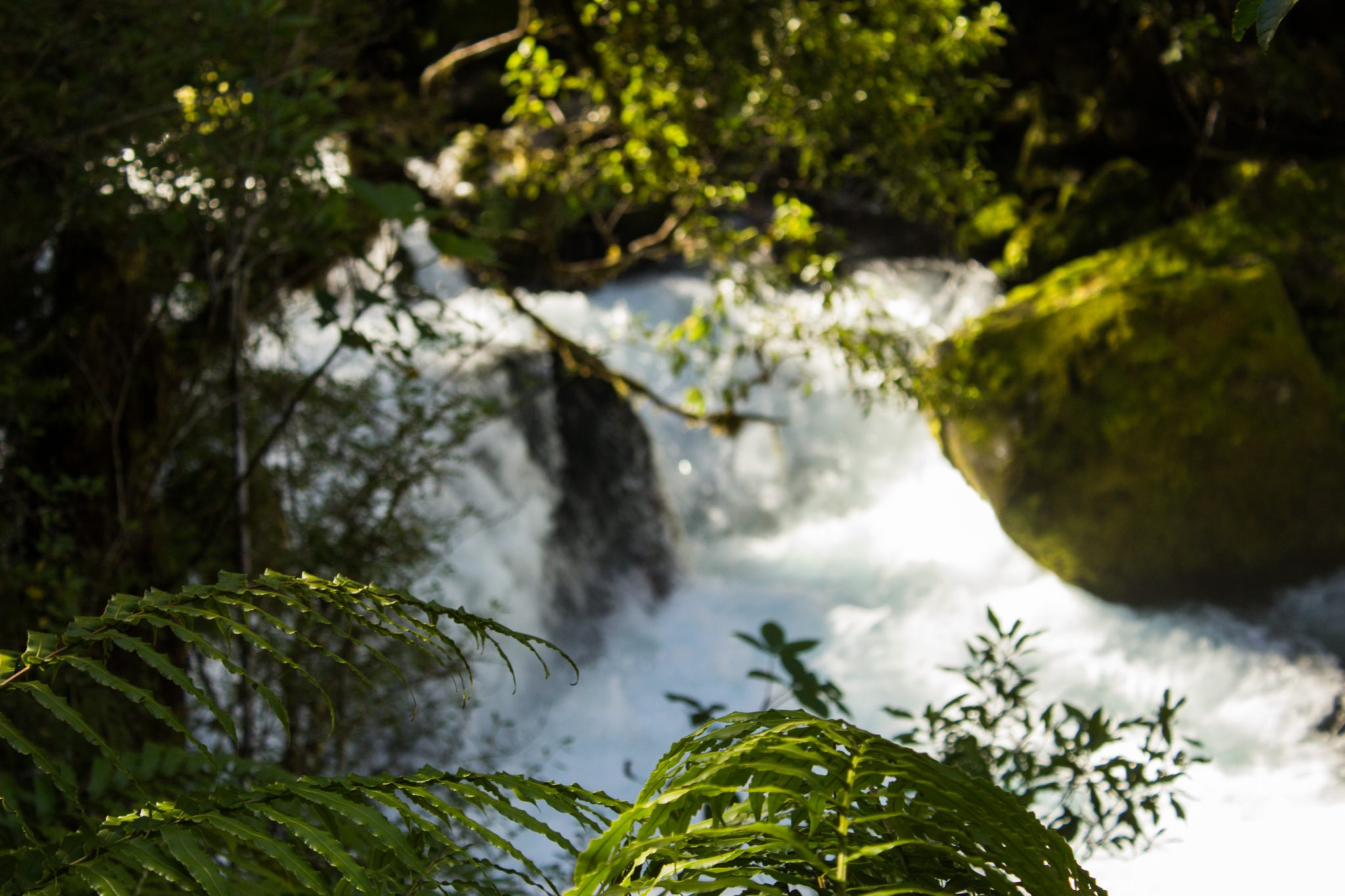 Lake Marian Track wandern, bei Marian Falls im Fiordland National Park Südinsel Neuseelands, dichter saftig grüner Wald, Farne, Wanderung zum See Marian, Wasserfall Marian Falls, schönes Licht, Sonne, Steine