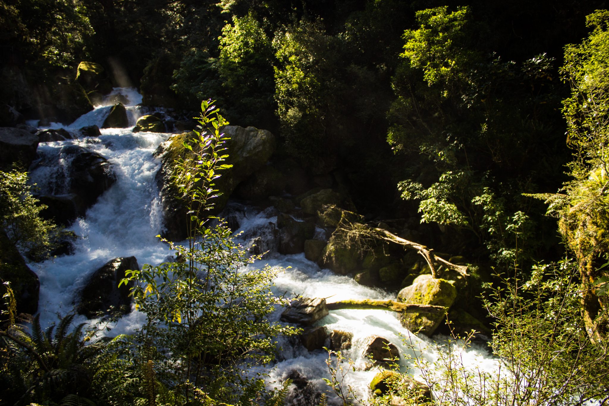 Lake Marian Track wandern, bei Marian Falls im Fiordland National Park Südinsel Neuseelands, dichter saftig grüner Wald, Farne, Wanderung zum See Marian, Wasserfall Marian Falls, schönes Licht, Sonne, Steine