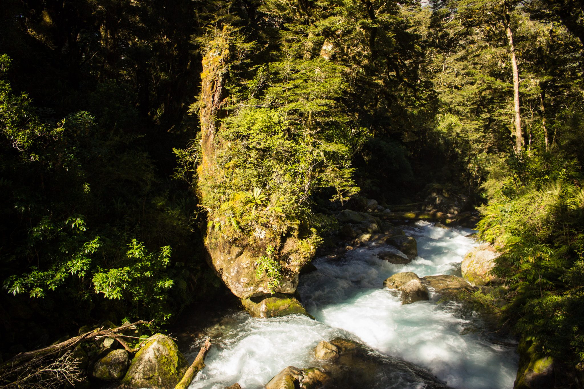 Lake Marian Track wandern, bei Marian Falls im Fiordland National Park Südinsel Neuseelands,dichter saftig grüner Wald, Farne, Wanderung zum See Marian, Wasserfall Marian Falls, schönes Licht, Sonne, Steine, großer Felsen, Moos