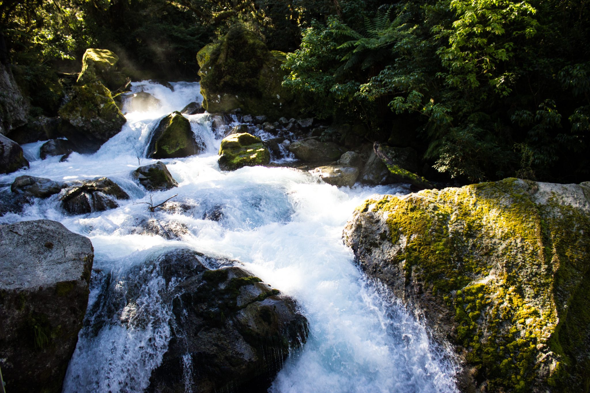 Lake Marian Track wandern, bei Marian Falls im Fiordland National Park Südinsel Neuseelands, dichter saftig grüner Wald, Farne, Wanderung zum See Marian, Wasserfall Marian Falls, schönes Licht, Sonne, Steine