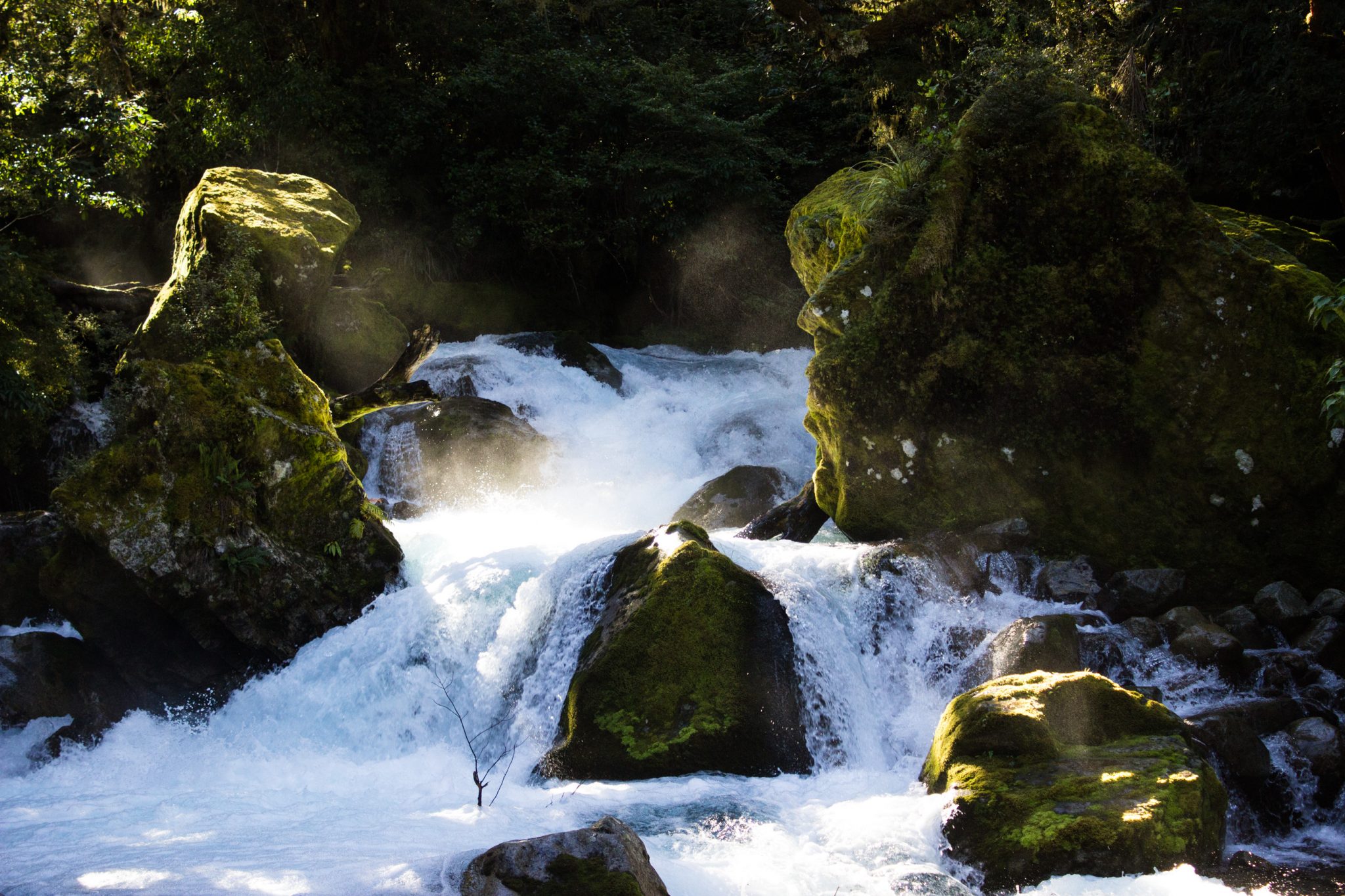 Lake Marian Track wandern, bei Marian Falls im Fiordland National Park Südinsel Neuseelands, dichter saftig grüner Wald, Farne, Wanderung zum See Marian, Wasserfall Marian Falls, schönes Licht, Sonne, Steine