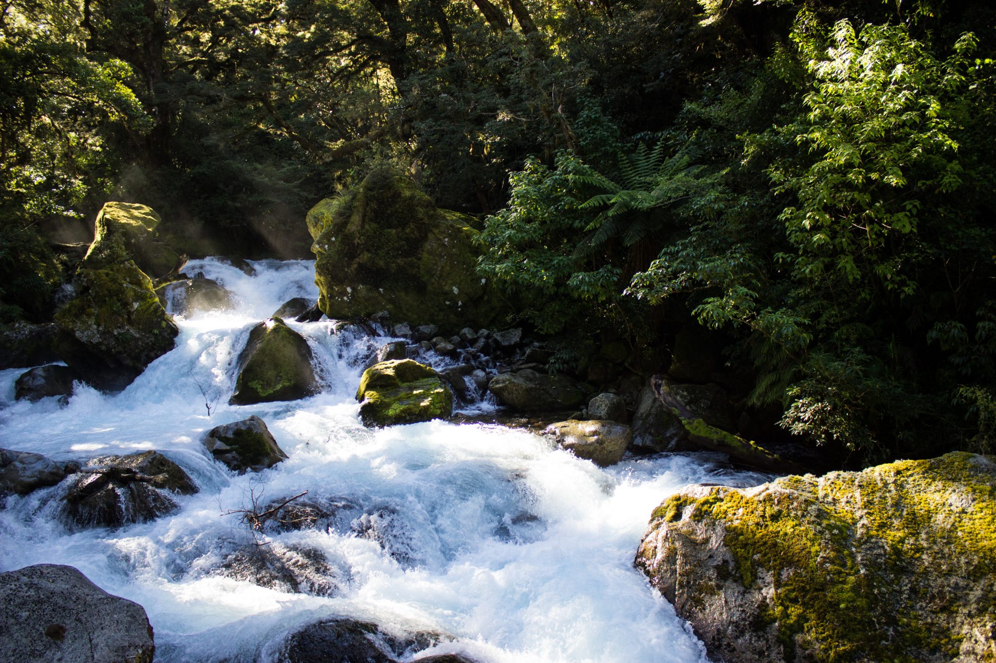 Lake Marian Track wandern, bei Marian Falls im Fiordland National Park Südinsel Neuseelands, dichter saftig grüner Wald, Farne, Wanderung zum See Marian, Wasserfall Marian Falls, schönes Licht, Sonne, Steine