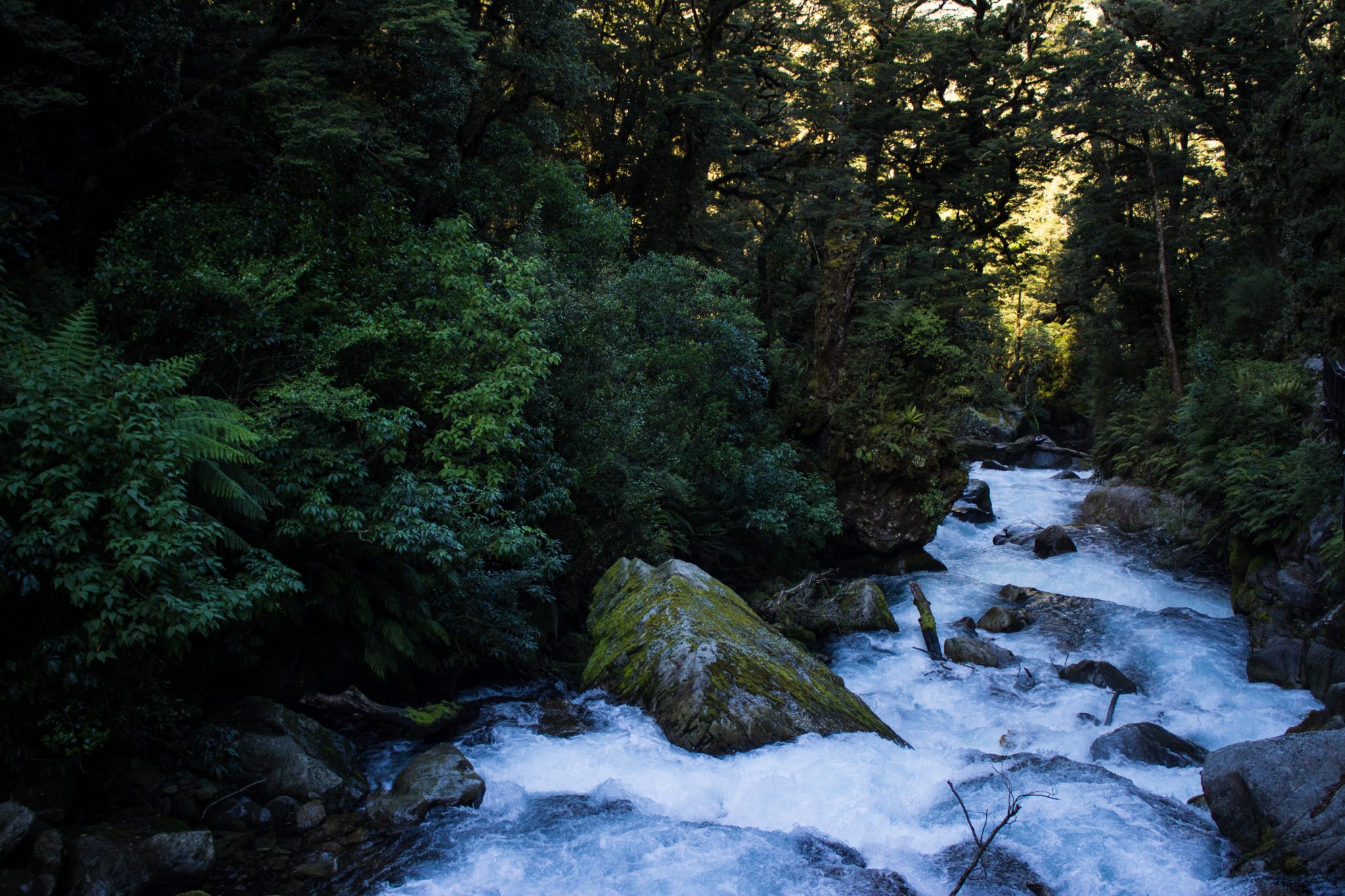 Lake Marian Track wandern, bei Marian Falls im Fiordland National Park Südinsel Neuseelands, dichter saftig grüner Wald, Farne, Wanderung zum See Marian, Wasserfall Marian Falls, schönes Licht, Sonne, Steine