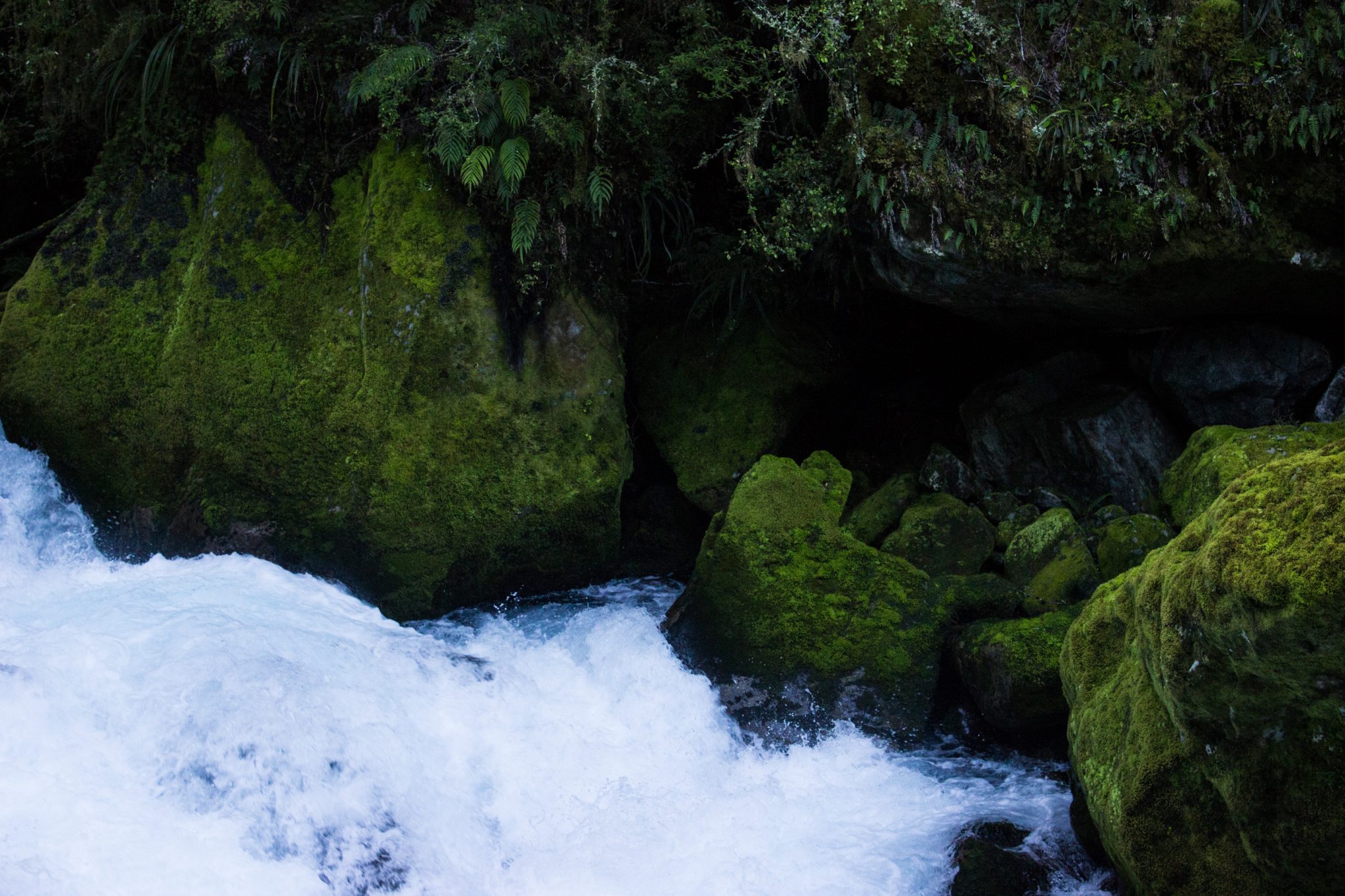 Lake Marian Track wandern, bei Marian Falls im Fiordland National Park Südinsel Neuseelands, dichter saftig grüner Wald, Farne, Wanderung zum See Marian, Wasserfall Marian Falls, schönes Licht, Sonne, Steine
