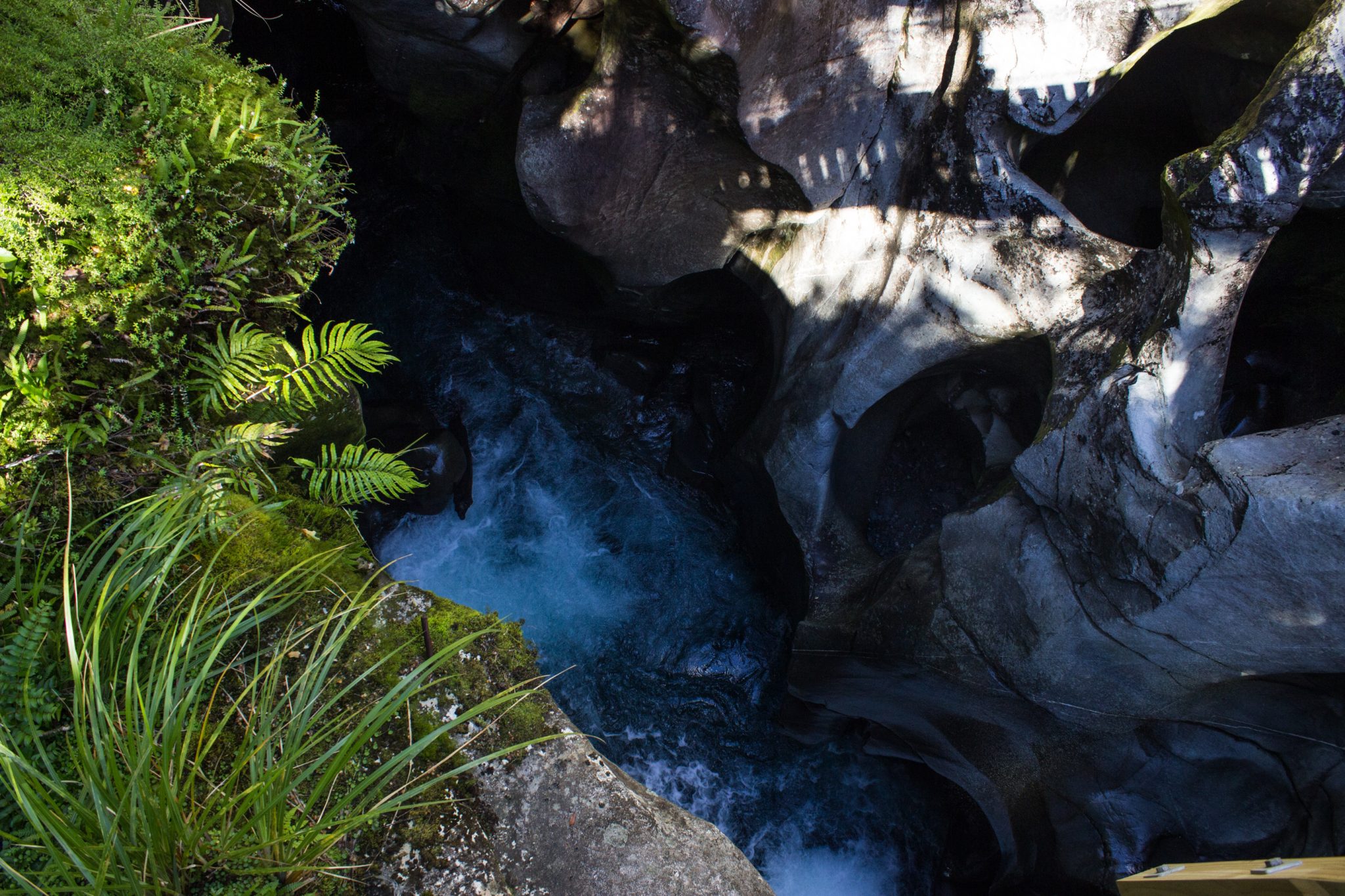 Lake Marian Track wandern, bei Marian Falls im Fiordland National Park Südinsel Neuseelands, dichter saftig grüner Wald, Farne, Wanderung zum See Marian, Wasserfall Marian Falls, schönes Licht, Sonne, Steine