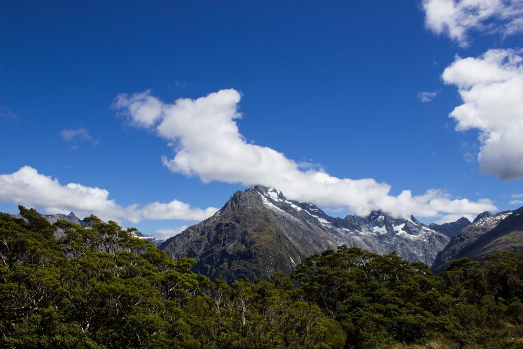Wanderung Routeburn Track - Great Walk im Fiordland Nationalpark Südinsel Neuseeland, Wanderweg Routeburn im Fiordland Nationalpark, beeindruckende Berge mit schneebedeckten Gipfeln über der Baumgrenze, herrlicher Sommertag auf Südinsel Neuseelands, traumhafte Wanderung