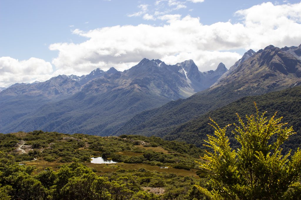 Wanderung Routeburn Track - Great Walk im Fiordland Nationalpark Südinsel Neuseeland, Wanderweg Routeburn im Fiordland Nationalpark, beeindruckende Berge mit schneebedeckten Gipfeln über der Baumgrenze, herrlicher Sommertag auf Südinsel Neuseelands, traumhafte Wanderung, Aussicht auf unzählige Berggipfel