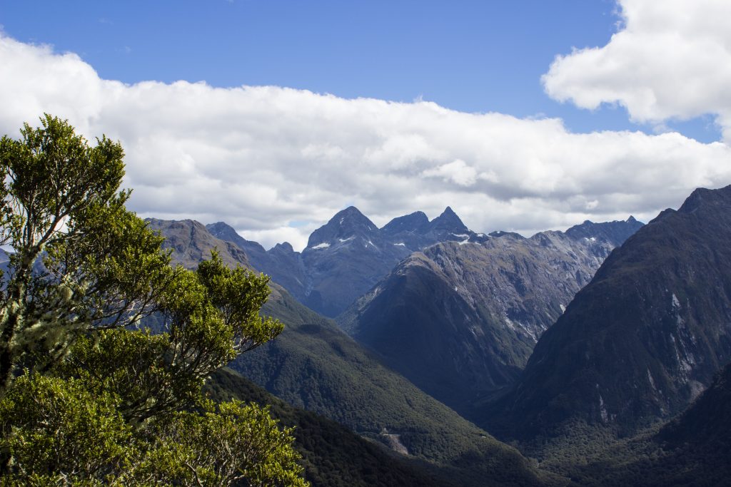 Wanderung Routeburn Track - Great Walk im Fiordland Nationalpark Südinsel Neuseeland, Wanderweg Routeburn im Fiordland Nationalpark, beeindruckende Berge mit schneebedeckten Gipfeln über der Baumgrenze, herrlicher Sommertag auf Südinsel Neuseelands, traumhafte Wanderung, Aussicht auf unzählige Berggipfel