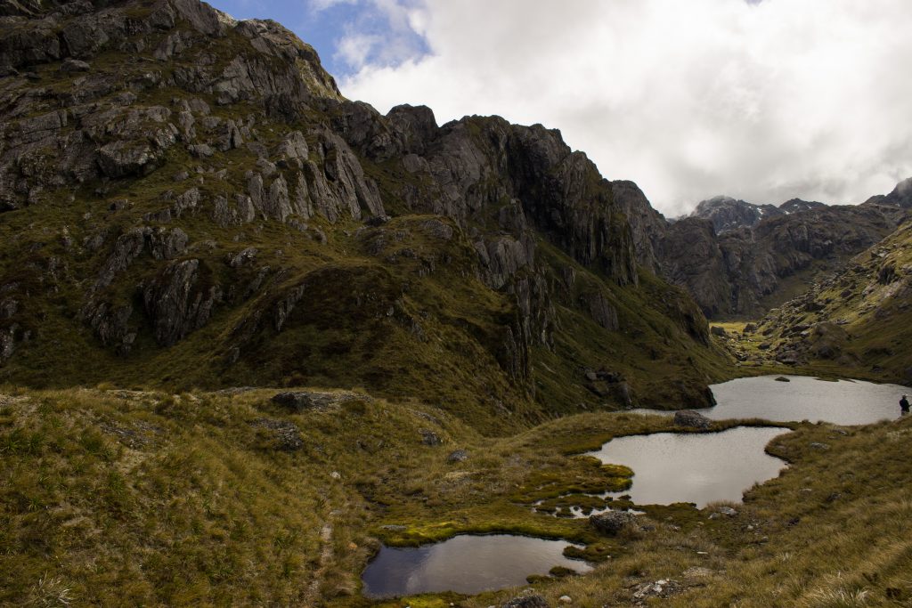 Wanderung Routeburn Track - Great Walk im Fiordland Nationalpark Südinsel Neuseeland, Wanderweg Routeburn im Fiordland Nationalpark, beeindruckende Berge mit schneebedeckten Gipfeln über der Baumgrenze, herrlicher Sommertag auf Südinsel Neuseelands, traumhafte Wanderung, raues Gebirgsklima, lebensfeindlich und doch wunderschön, beeindruckend, viele kleine Gebirgsseen