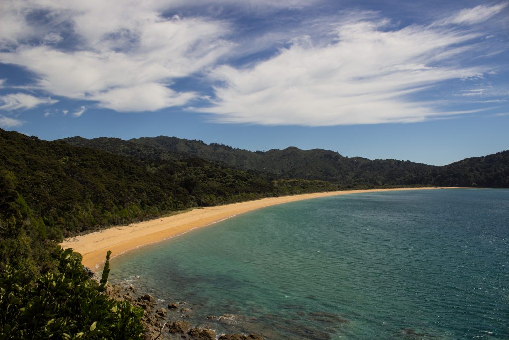 Wanderung Abel Tasman Coast Track Great Walk Südinsel Neuseeland, Aussicht auf traumhafte, sichelförmige Bucht mit blaugrünem klarem frischem Wasser und dichtem grünem Wald, Sonnenschein, Palmen und Farne, goldener Sandstrand