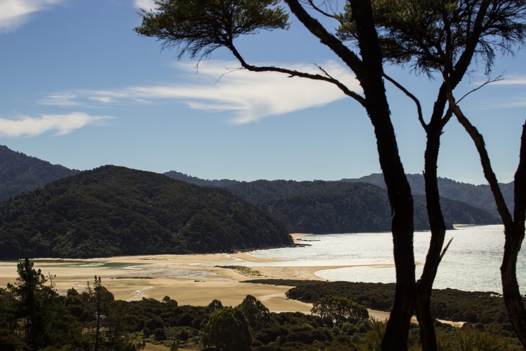 Wanderung Abel Tasman Coast Track Great Walk Südinsel Neuseeland, Aussicht auf traumhafte, sichelförmige Bucht mit blaugrünem klarem frischem Wasser und dichtem grünem Wald, Sonnenschein, Palmen und Farne, goldener Sandstrand
