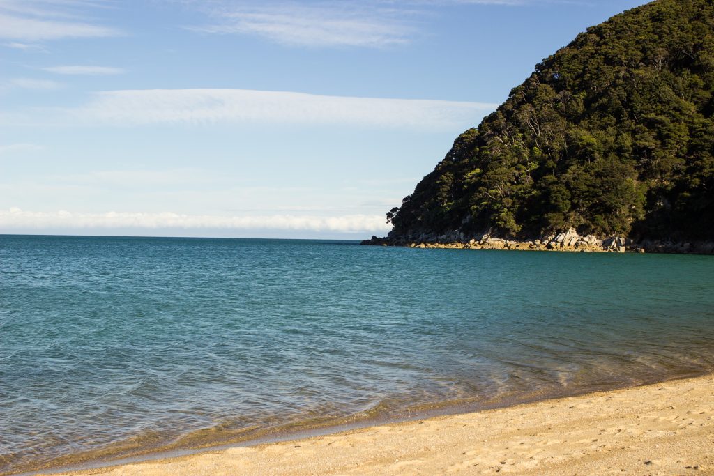 Wanderung Abel Tasman Coast Track Great Walk Südinsel Neuseeland, Aussicht auf traumhafte, sichelförmige Bucht mit blaugrünem klarem frischem Wasser und dichtem grünem Wald, Sonnenschein, Palmen und Farne, goldener Sandstrand