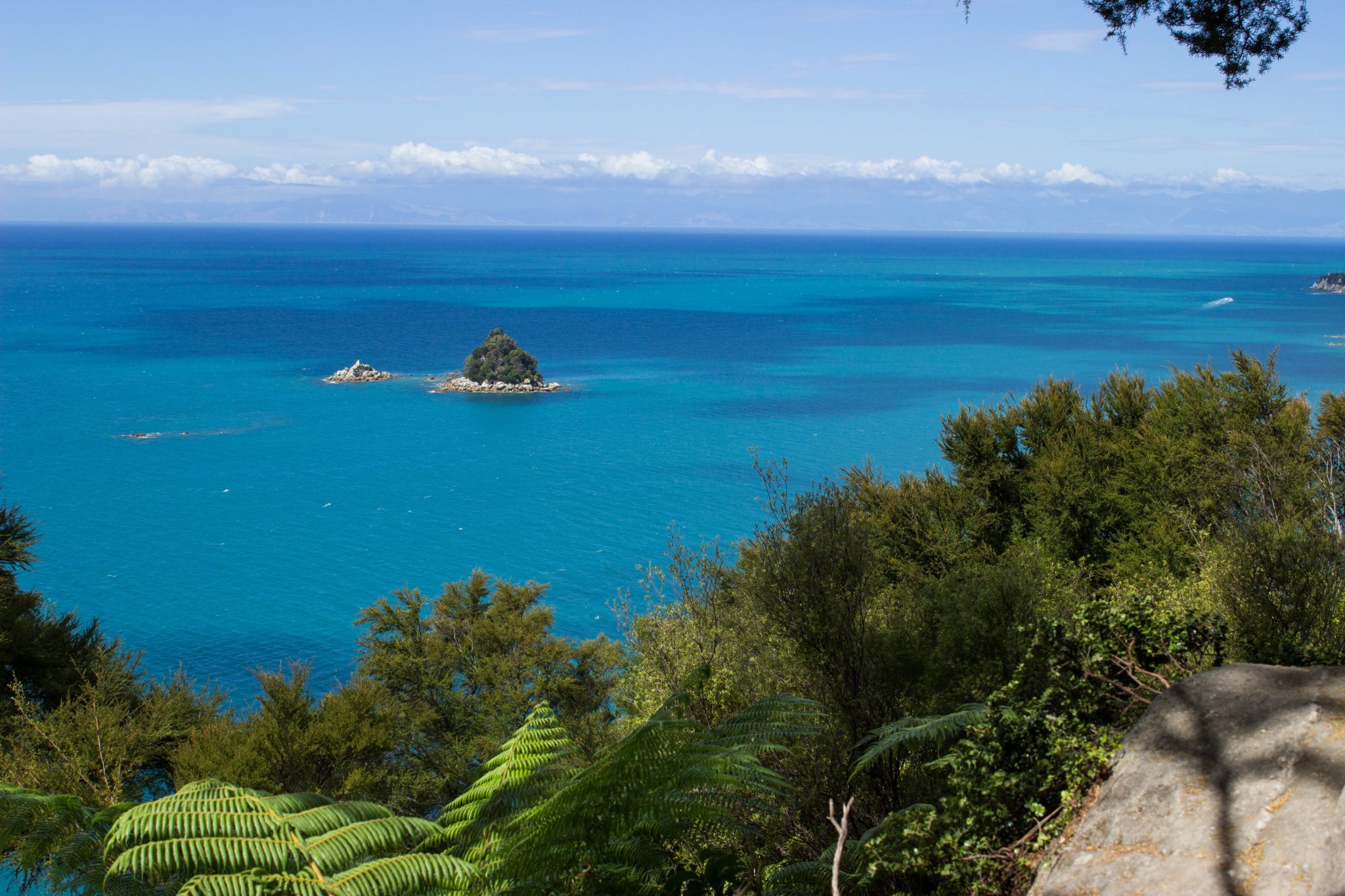 Wanderung Abel Tasman Coast Track Great Walk Südinsel Neuseeland, Aussicht auf winzige Insel im blaugrünem klarem frischem Wasser und dichtem grünem Wald, Sonnenschein, Palmen und Farne, goldener Sandstrand, Steine, Felsen