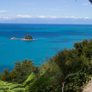 Wanderung Abel Tasman Coast Track Great Walk Südinsel Neuseeland, Aussicht auf winzige Insel im blaugrünem klarem frischem Wasser und dichtem grünem Wald, Sonnenschein, Palmen und Farne, goldener Sandstrand, Steine, Felsen