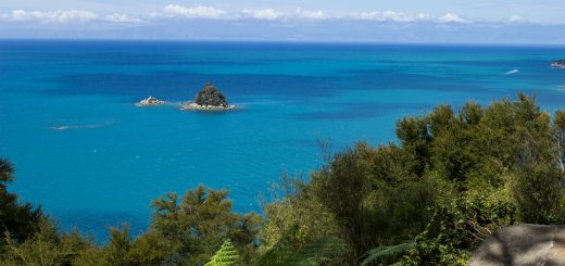 Wanderung Abel Tasman Coast Track Great Walk Südinsel Neuseeland, Aussicht auf winzige Insel im blaugrünem klarem frischem Wasser und dichtem grünem Wald, Sonnenschein, Palmen und Farne, goldener Sandstrand, Steine, Felsen