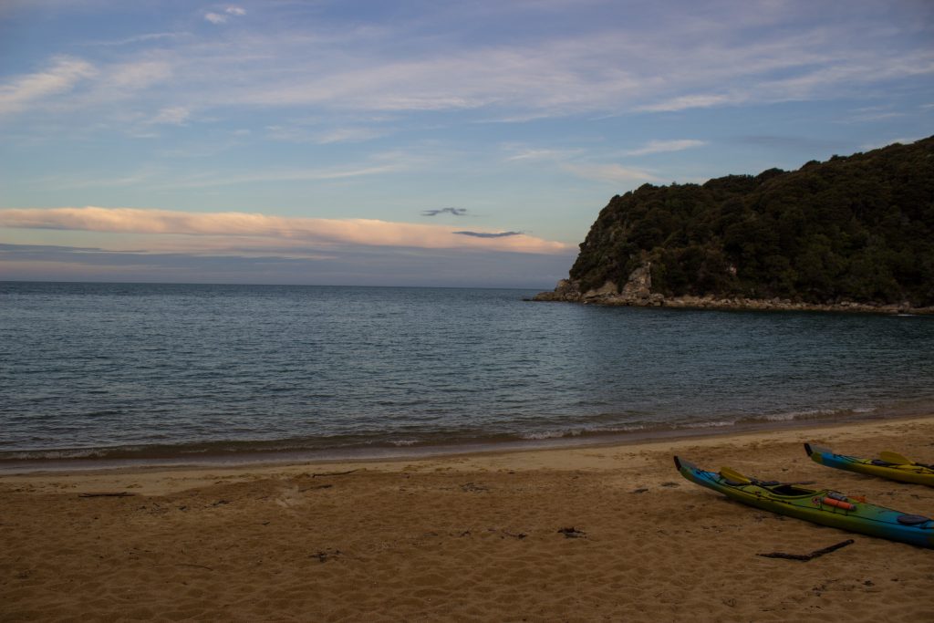 Wanderung Abel Tasman Coast Track Great Walk Südinsel Neuseeland, Aussicht auf traumhafte, sichelförmige Bucht mit blaugrünem klarem frischem Wasser und dichtem grünem Wald, Sonnenschein, Palmen und Farne, goldener Sandstrand, wunderschönes Licht zur Dämmerung