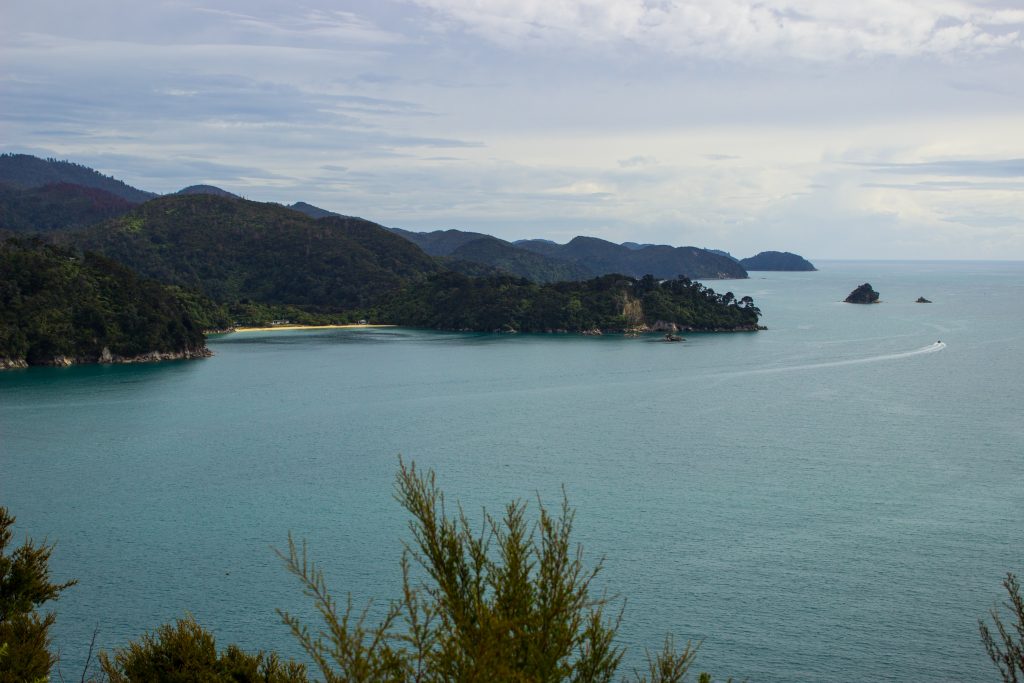 Wanderung Abel Tasman Coast Track Great Walk Südinsel Neuseeland, Aussicht auf traumhafte, sichelförmige Bucht mit blaugrünem klarem frischem Wasser und dichtem grünem Wald, Sonnenschein, Palmen und Farne, goldener Sandstrand