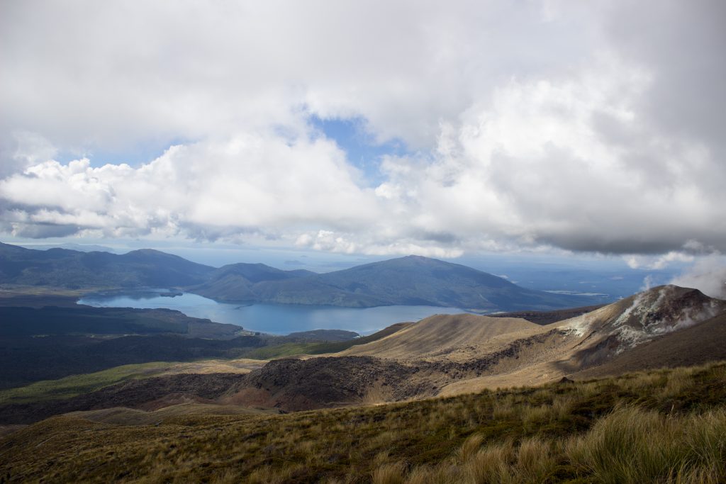 Tongariro Alpine Crossing Wanderung, Nordinsel Neuseeland, tolle Aussicht auf Berge, Fluss bei Wanderung Tongarrio Alpine Crossing, unter Baumgrenze noch saftig grün