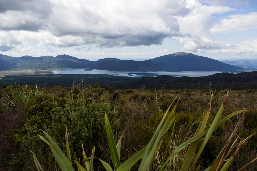 Tongariro Alpine Crossing Wanderung, Nordinsel Neuseeland, tolle Aussicht auf Berge, Fluss bei Wanderung Tongarrio Alpine Crossing, unter Baumgrenze noch saftig grün