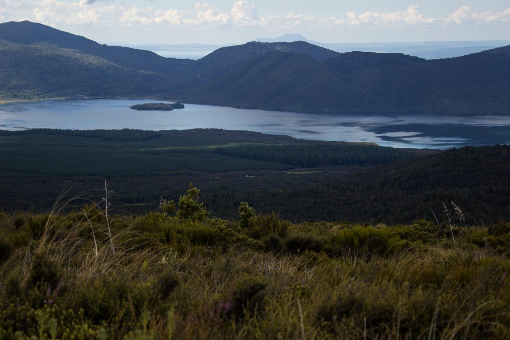 Tongariro Alpine Crossing Wanderung, Nordinsel Neuseeland, tolle Aussicht auf Berge, Fluss bei Wanderung Tongarrio Alpine Crossing, unter Baumgrenze noch saftig grün