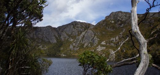 Ronny Creek bis Marions Lookout, Aussichtspunkt, Wanderung Overland Track im Cradle Mountain Lake St. Clair National Park, raue Gebirgslandschaft, schöner See, Ende des Sommers in Tasmanien, Bäume
