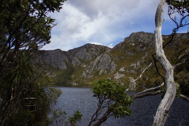 Ronny Creek bis Marions Lookout, Aussichtspunkt, Wanderung Overland Track im Cradle Mountain Lake St. Clair National Park, raue Gebirgslandschaft, schöner See, Ende des Sommers in Tasmanien, Bäume