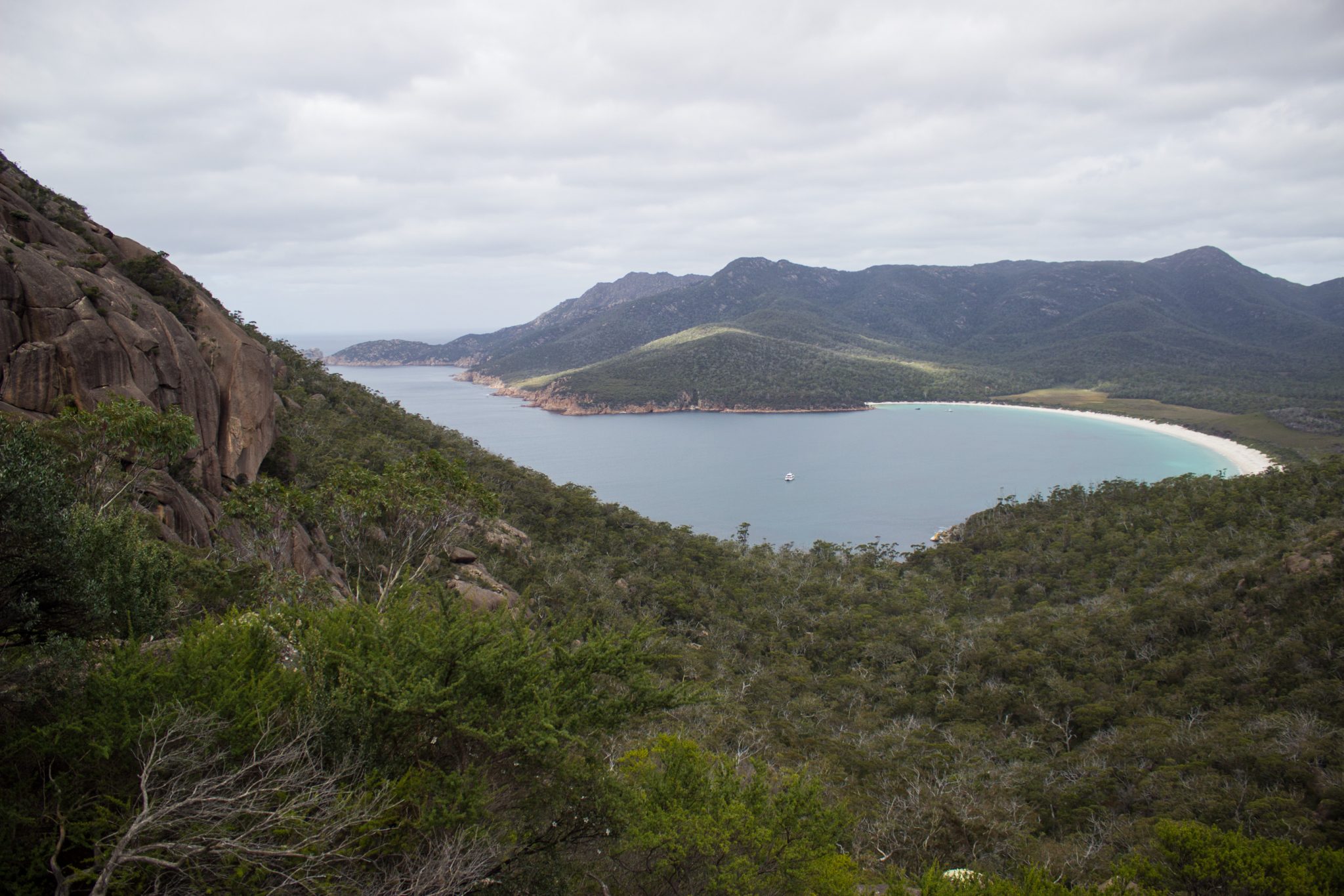 Lookout, Aussichtspunkt auf Wineglass Bay, Bucht im traumhaften Freycinet Nationalpark in Tasmanien, saftig grüner Wald, Berge